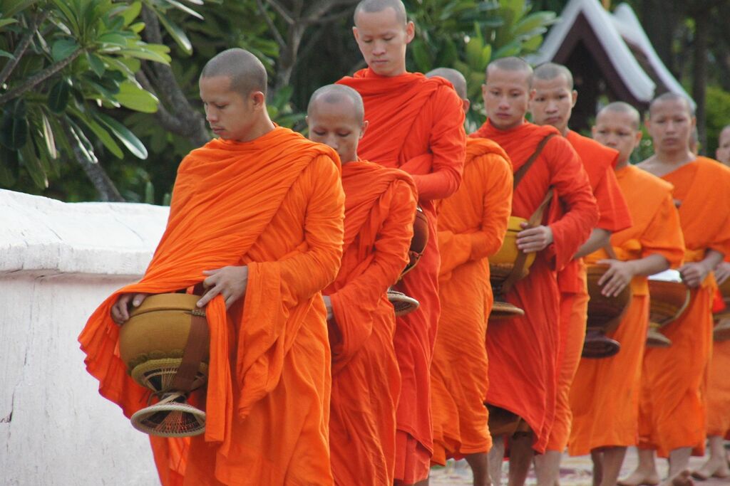 image-31